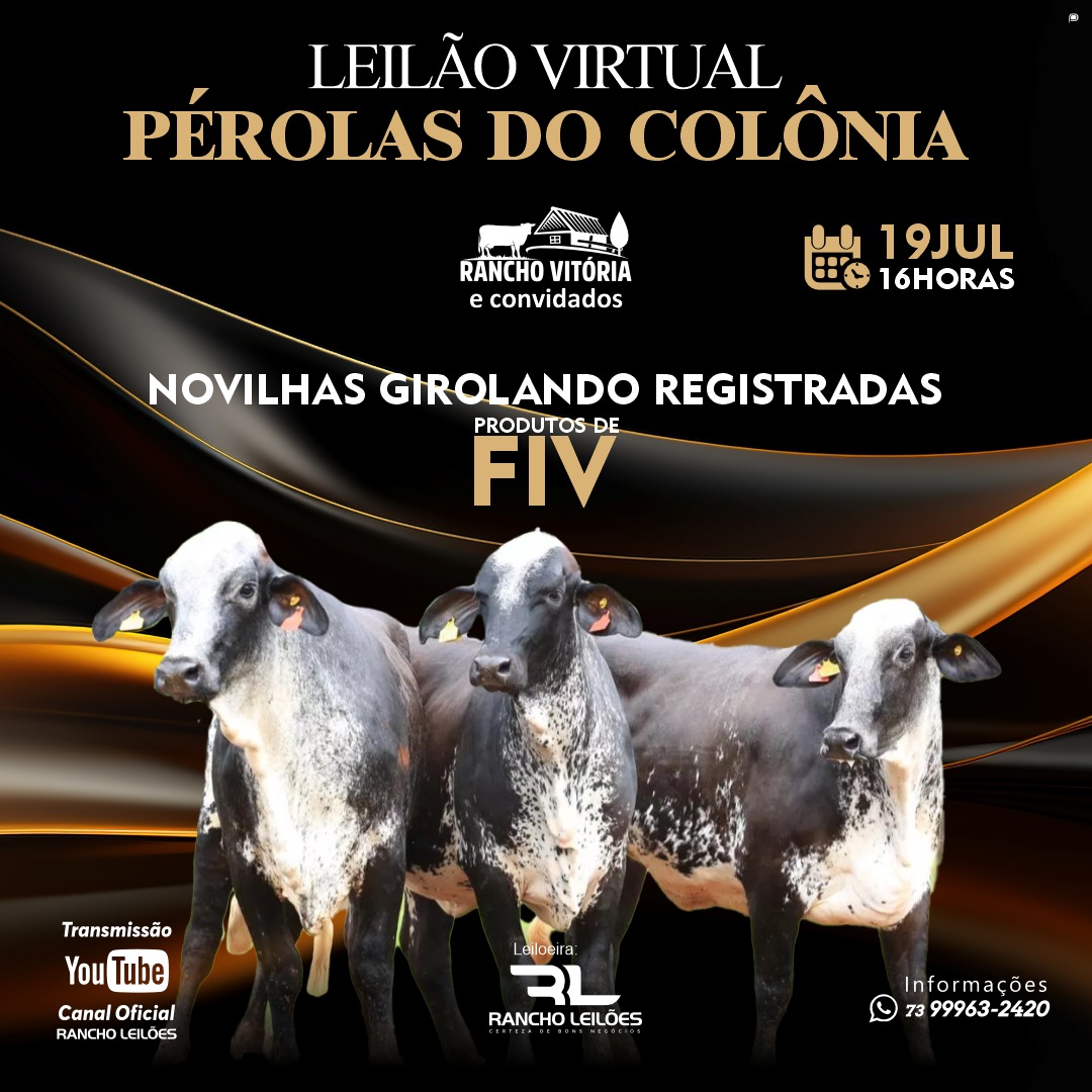 Leilão Virtual - Pérolas do Colônia