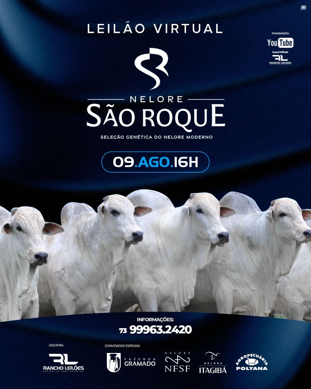 Nelore São Roque - Leilão Virtual