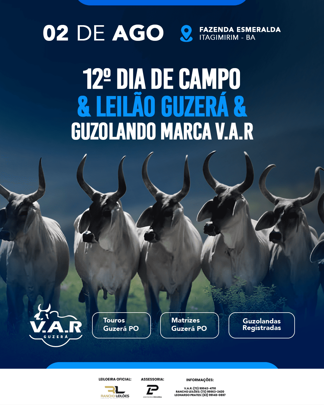 Leilão Guzerá & Guzolando V.A.R