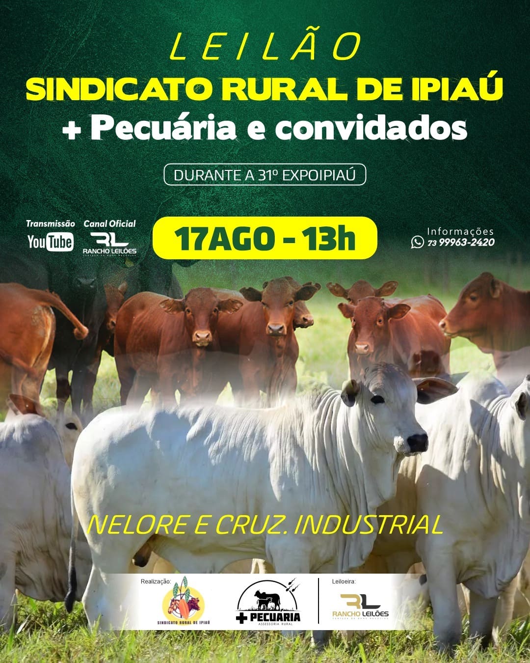 Leilão Sindicato Rural de Ipiaú