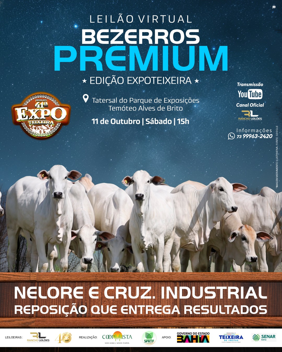 Leilão Virtual - Bezerros Premium - Expoteixeira