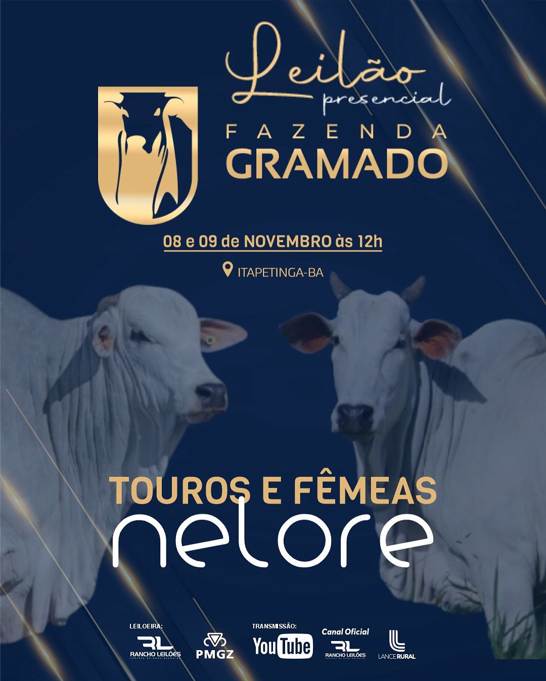 Leilão Presencial Fazenda Gramado