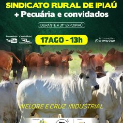 Leilão Sindicato Rural de Ipiaú