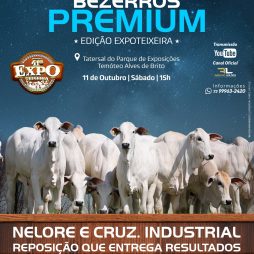 Leilão Virtual - Bezerros Premium - Expoteixeira