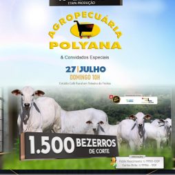 10º Leilão Etapa Produção - Agropecuária Polyana e Convidados