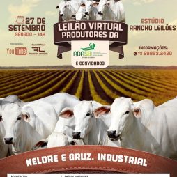 Leilão Virtual Produtores da ADASB