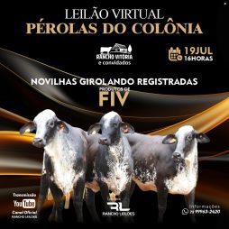 Leilão Virtual - Pérolas do Colônia