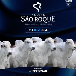 Nelore São Roque - Leilão Virtual