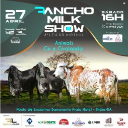 rancho milk show 3 leilao virtual