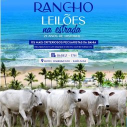 Leilão Rancho Leilões na Estrada